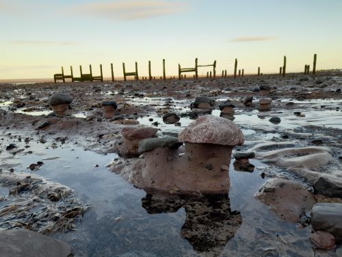 Rock mushroom